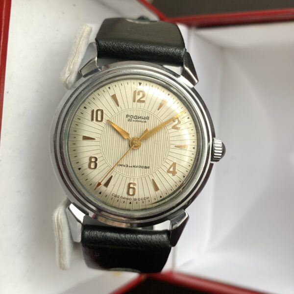 Rodina rare automatic vintage watch for Rp.3,100,639 for sale from a  Private Seller on Chrono24