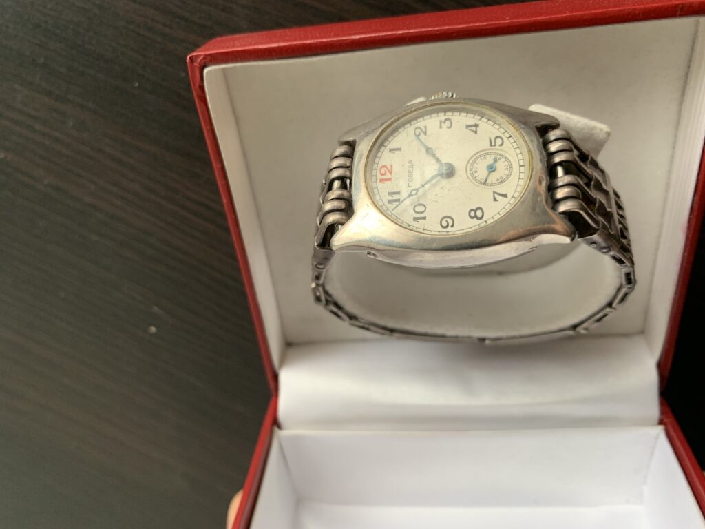 Silver case pobeda case left